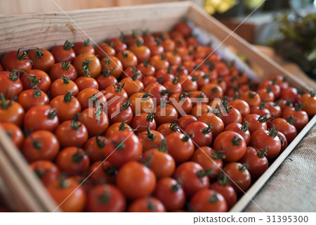 Fresh organic tomatoes product pattern 31395300