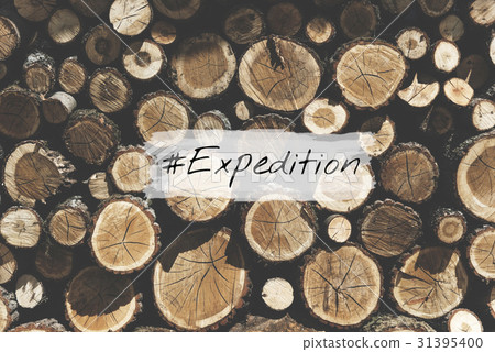 Adventure Destination Discover Expedition Icon 31395400