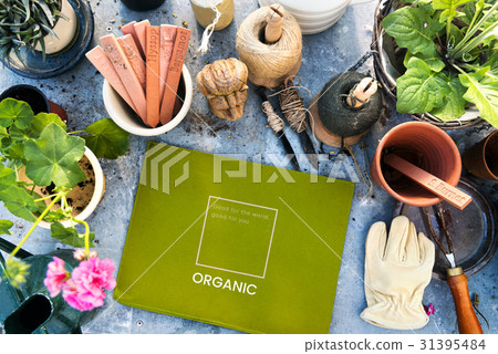 Healthy Eating Food Lifestyle Organic Wellness Graphic 31395484