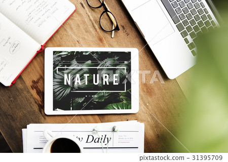 Ecology Fresh Lush Natural Nature Ecology Fresh Lush Natural Nature 31395709