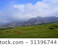 牧場牛和阿甦的景觀 31396744