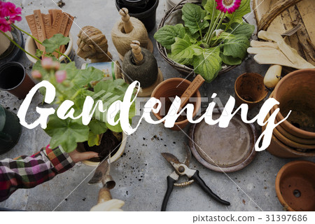 Gardening word on plants background 31397686