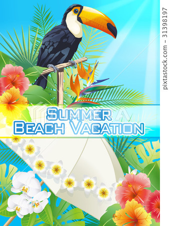 夏天 夏 鳳頭鸚鵡 31398197