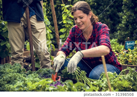 Group of people planting vegetable in greenhouse Group of people planting vegetable in greenhouse 31398508