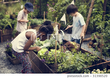 Group of children planting vegetable in greenhouse 31398520