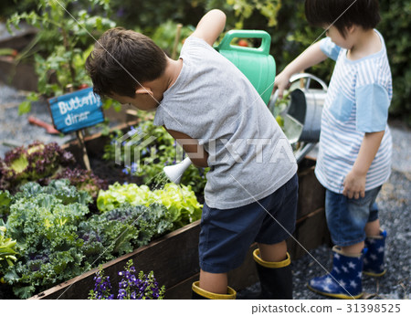 Kids having fun gardening outdoor Kids having fun gardening outdoor 31398525