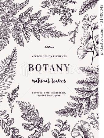 Botanical card for with leaves. Botanical card for with leaves. 31400048