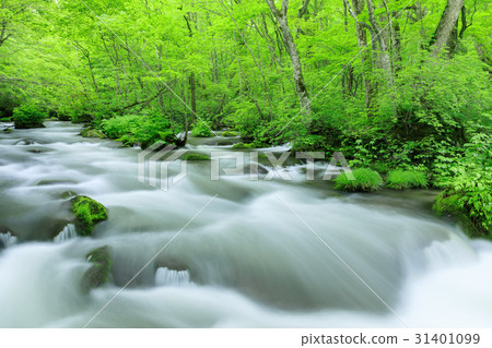 Aomori _ Oirase Stream ___ ___ 0 31401099