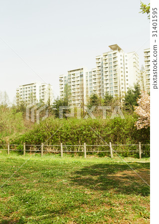 Park 31401595