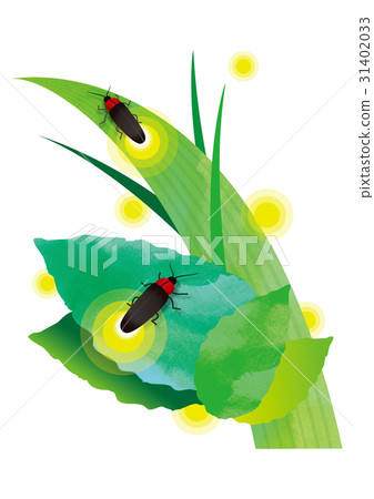Genji firefly 31402033