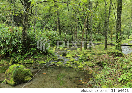 Daisetsuyama Asahidake source water 31404678
