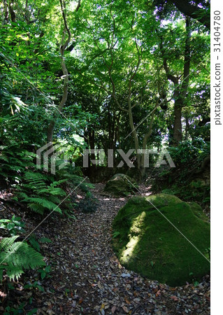 May Zushi 71 Nagoshiden open roads of old road · Kamakura Nanba 31404780