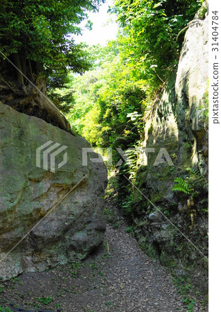 May Zushi 75 Old road of Nagoshiden district · Kamakura Nanba May Zushi 75 Old road of Nagoshiden district · Kamakura Nanba 31404784