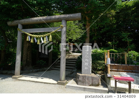 May Kamakura 309 Kuzuhara Oka Shrine 31404809