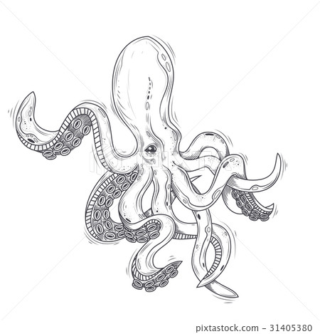 Vector illustration of an octopus painted in an 31405380