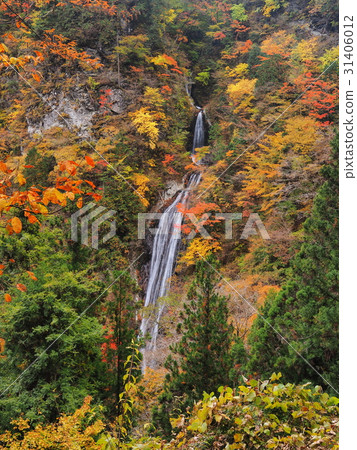 Autumnal nocturnal god waterfall 31406012