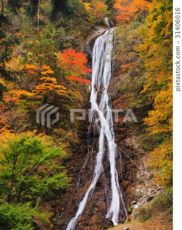 Autumnal nocturnal god waterfall 31406016
