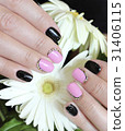 Manicure 31406115