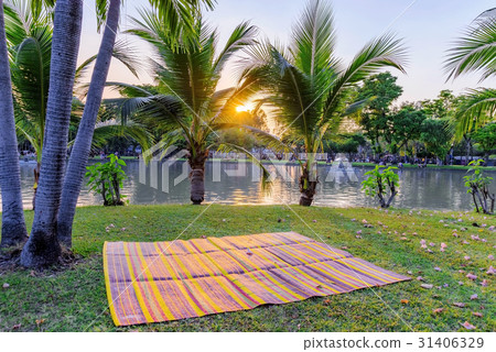 Sunset scene by the lake in Chatuchak park 31406329