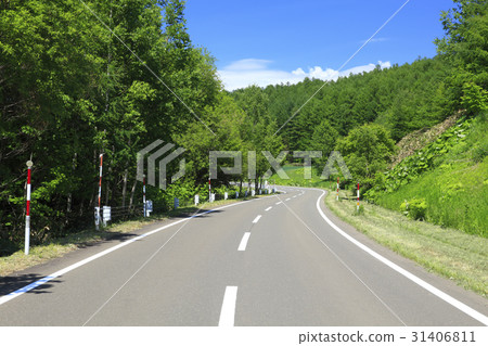 Forest and road of fresh green in Hakodate Nakafurano Town 31406811