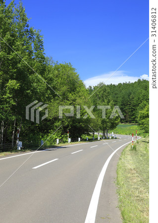 Forest and road of fresh green in Hakodate Nakafurano Town 31406812