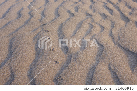 Sandy beach at dusk Sandy beach at dusk 31406916