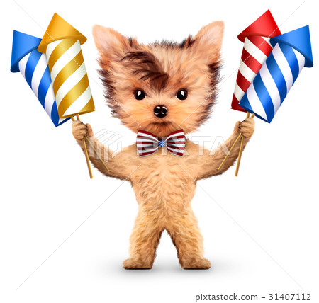 Funny dog holding firework rockets Funny dog holding firework rockets 31407112