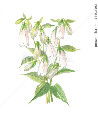 螢火蟲袋螢火蟲 31408368