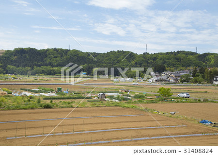 Akiruno-shi Akikawa地區風景 Akiruno-shi Akikawa地區風景 31408824