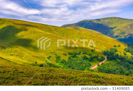 grassy hillside on mountain in summer grassy hillside on mountain in summer 31409085