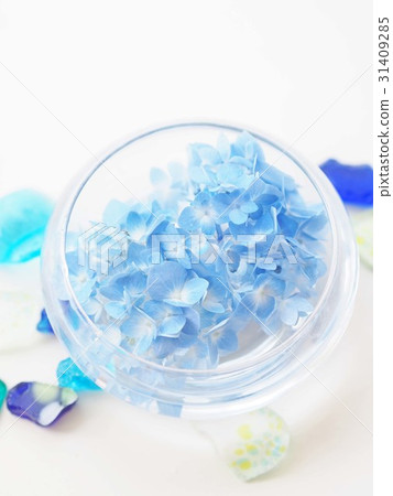 Hydrangea floating in a glass container 31409285