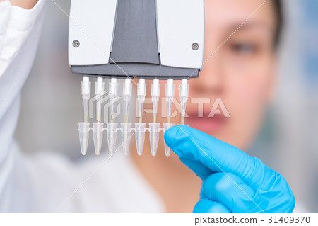 Woman technician with multipipette in genetic Woman technician with multipipette in genetic 31409370