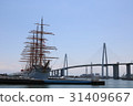 海王圓 31409667