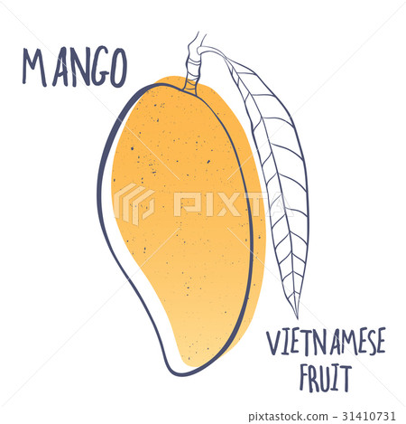 Mango icon. Vector illustration of tropical fruit Mango icon. Vector illustration of tropical fruit 31410731