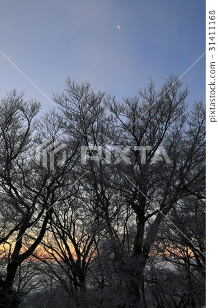 Dawn of Tanzawa Mountains at dawn Dawn of Tanzawa Mountains at dawn 31411168