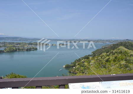 Matsushima Four Opinions Scenery from Otakomori (spectacle) 2017 Spring 31411619