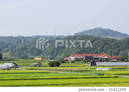 國家景觀 國家景觀 31412109