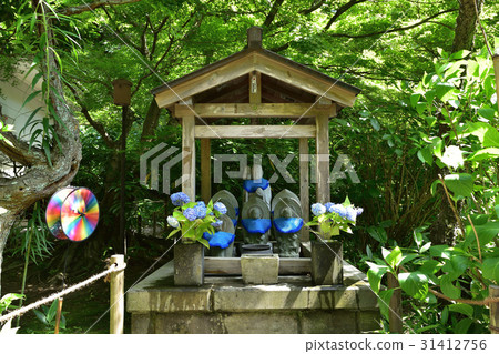 Kisura and Nagatsuin's Jizo-sama and Hydrangeas 31412756