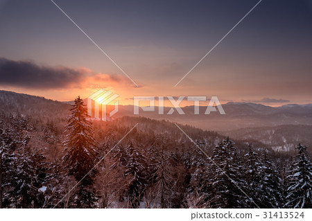 Nakayama Pass的黎明 31413524