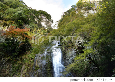 Mino Falls autumn leaves 31414086