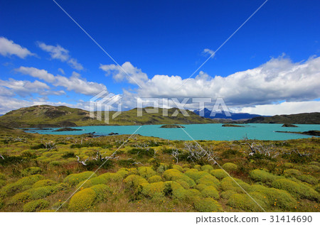 Nordenskjold lake, Torres Del Paine National Park 31414690