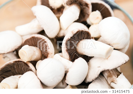 fresh champignon mushrooms fresh champignon mushrooms 31415475