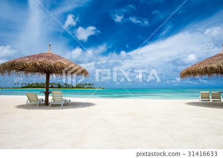 Maldives island with beach Maldives island with beach 31416633