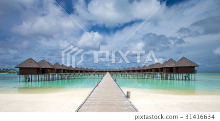 tropical beach in Maldives tropical beach in Maldives 31416634