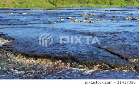 View of the river Tosna. View of the river Tosna. 31417386