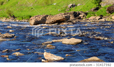 View of the river Tosna. View of the river Tosna. 31417392