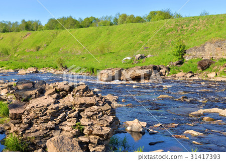 View of the river Tosna. View of the river Tosna. 31417393