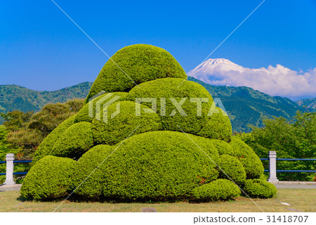 箱根皇家公園，花園 31418707
