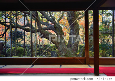 Frame picture garden Hohsengumi Fall Frame picture garden Hohsengumi Fall 31418756
