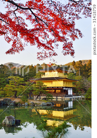 金閣寺秋葉 金閣寺秋葉 31418759